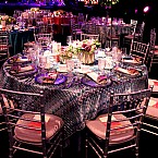 Hillman Center Gala 2016