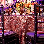 Hillman Center Gala