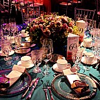 Hillman Center Gala 2016