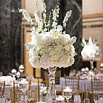 Classic Elegant Romance