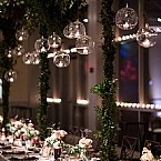 Velvet Fairy Tale Wedding