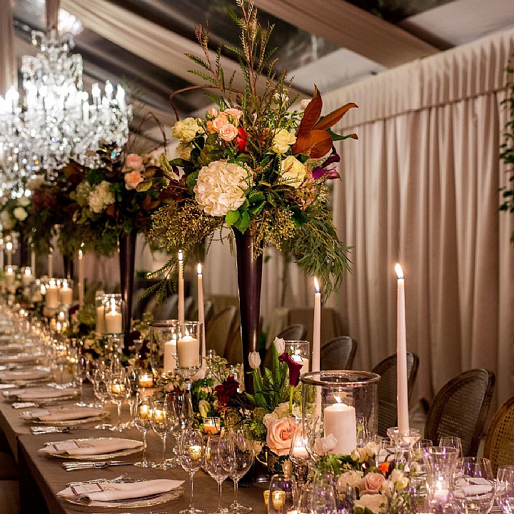 Stunning Celebration