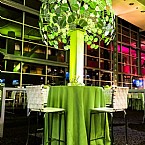 PCMA Networking Celebration