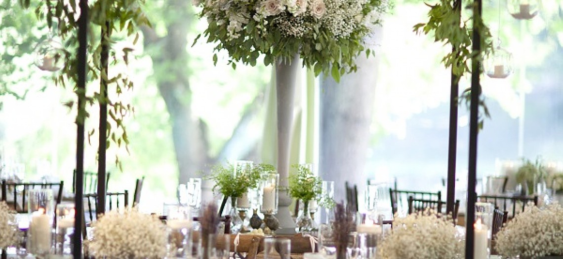 Dreamy Willow Wedding