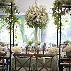 Dreamy Willow Wedding