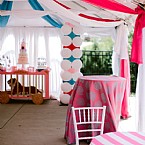 Pink Princess Circus: Step Right Up!