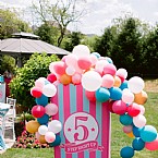 Pink Princess Circus: Step Right Up!