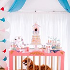 Pink Princess Circus: Step Right Up!