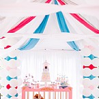 Pink Princess Circus: Step Right Up!