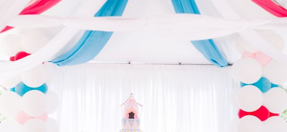 Pink Princess Circus: Step Right Up!