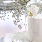 A Gender Reveal  Adorned with Baby's Breath