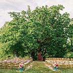 Paradise Under the Tent