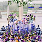 Fairytale Dream Under The Tent