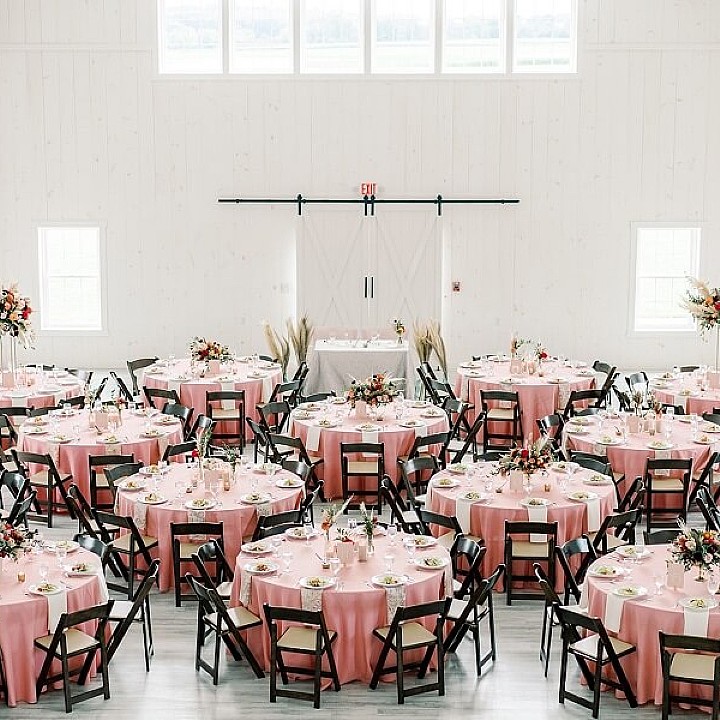 Coral and Cream