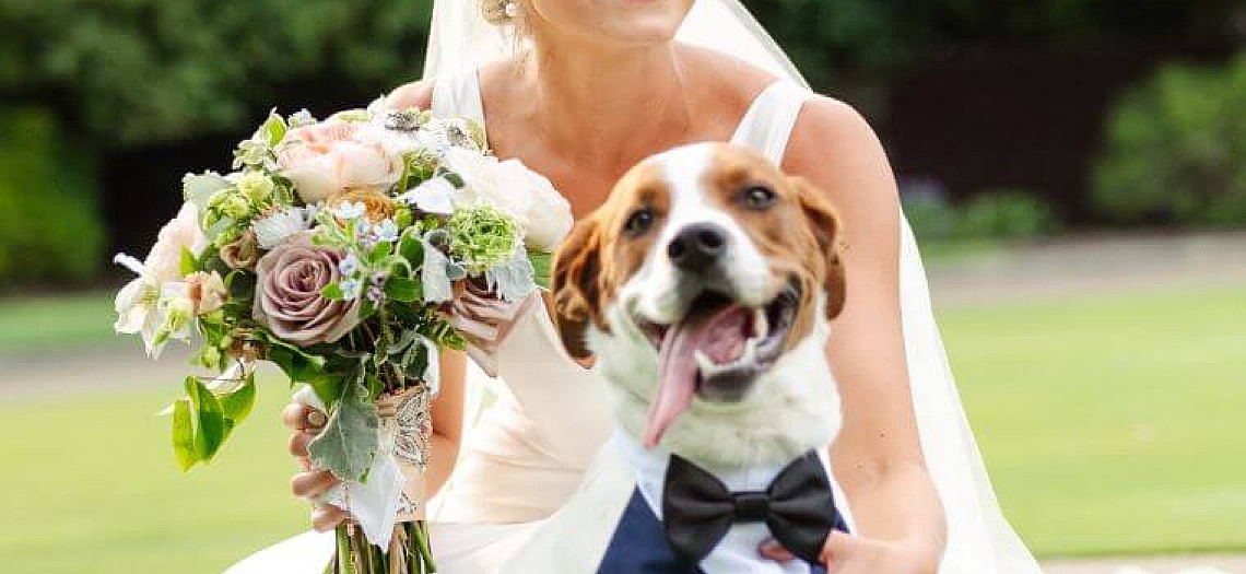 Cornflower Blue & Cream Wedding