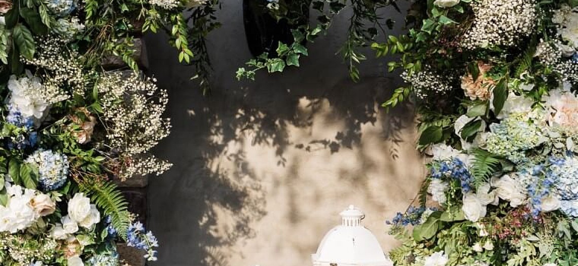 Pale Blue Petals and Pups