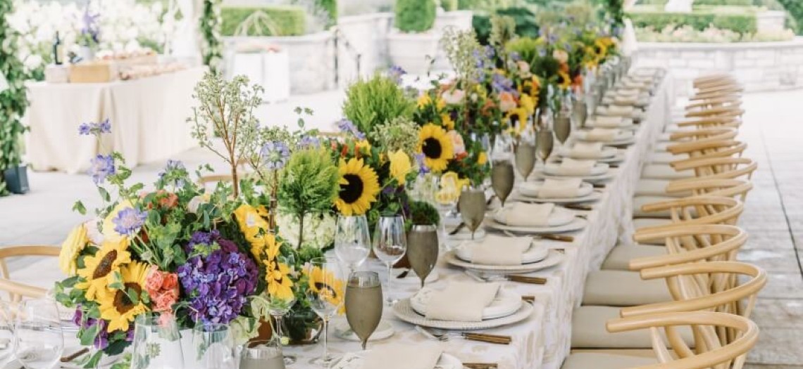 Sunflower and Ivy Dreams