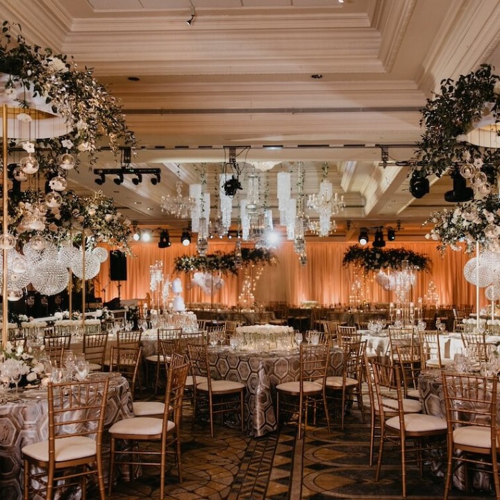 Illuminated Elegance