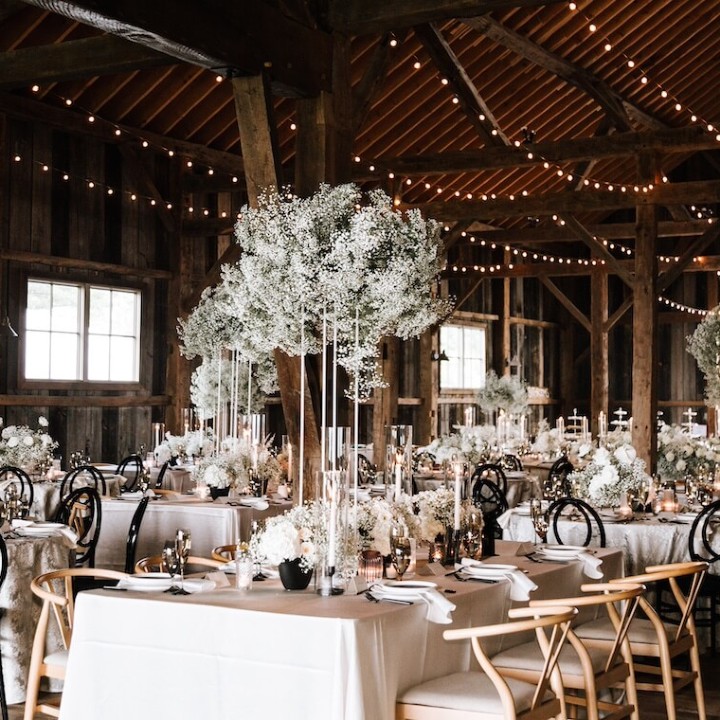 Champagne & Ivory Dreamscape