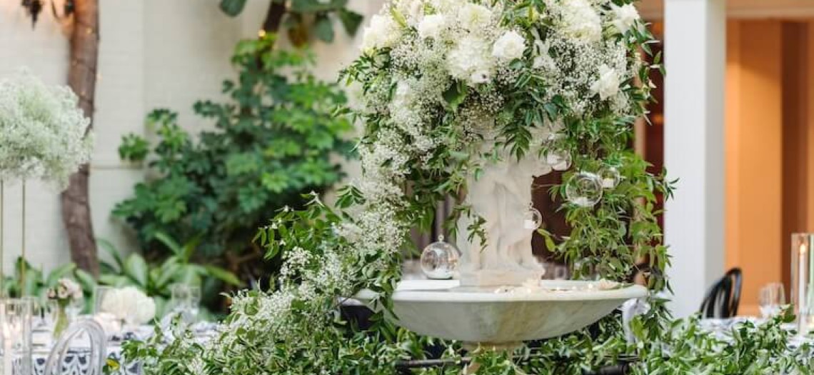 Timeless Elegance: Black and White Magic