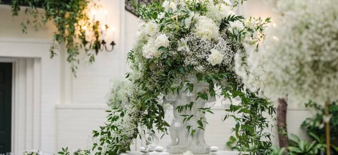 Timeless Elegance: Black and White Magic