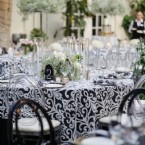 Timeless Elegance: Black and White Magic