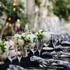 Timeless Elegance: Black and White Magic