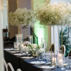 Timeless Elegance: Black and White Magic