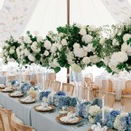 Butterflies & Blue Skies in Full Bloom