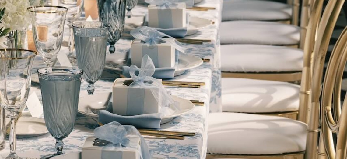 Wrapped in Toile: A Soft Blue Love Story