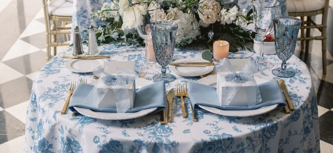 Wrapped in Toile: A Soft Blue Love Story