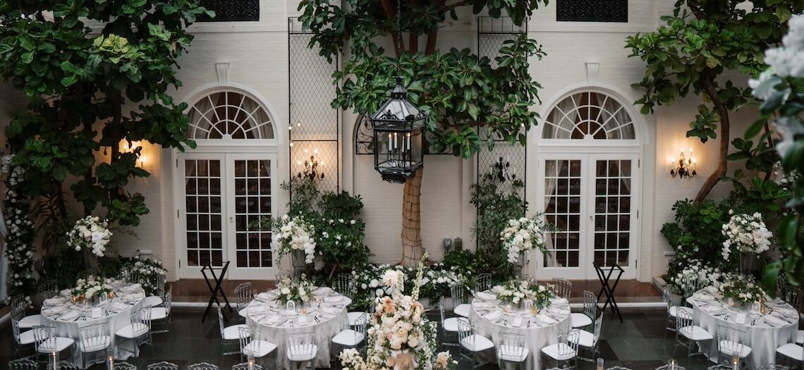 Where White Blooms Fill the Air