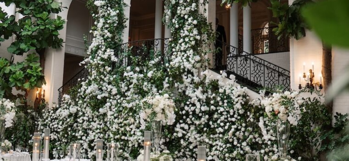 Where White Blooms Fill the Air
