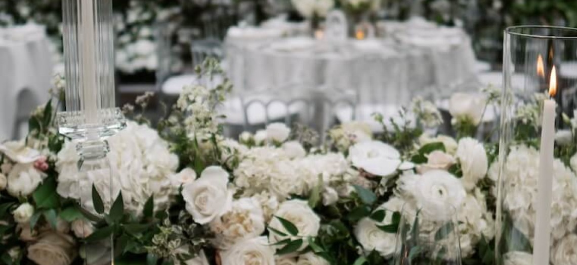 Where White Blooms Fill the Air