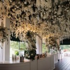 Where White Blooms Fill the Air