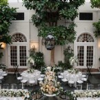 Where White Blooms Fill the Air