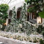 Where White Blooms Fill the Air