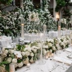 Where White Blooms Fill the Air