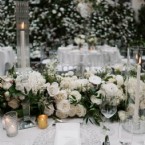 Where White Blooms Fill the Air