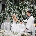 Where White Blooms Fill the Air