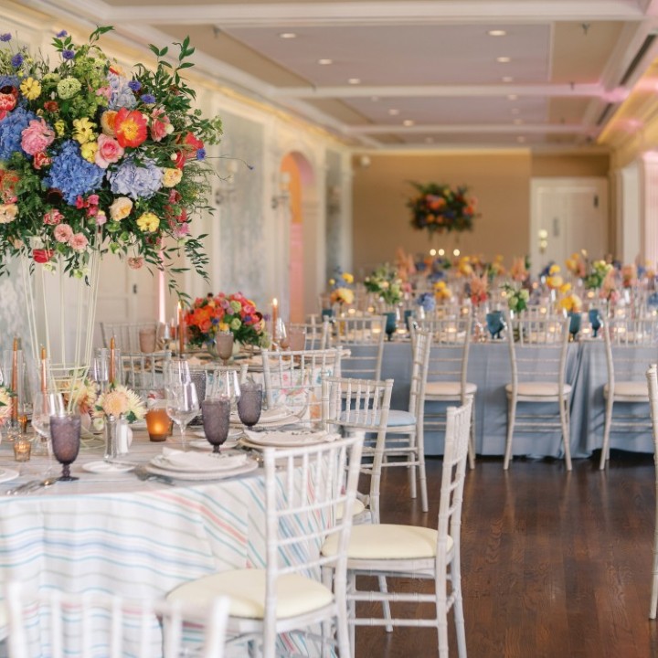 A Garden of Color and Vibrant Moments