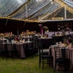 Rich in Plum: A Velvet-Infused Georgia Wedding