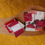 Runway Romance: Velvet Vows at the TWA Hotel
