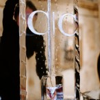 A Toast to Love & Art at the Carnegie Museum