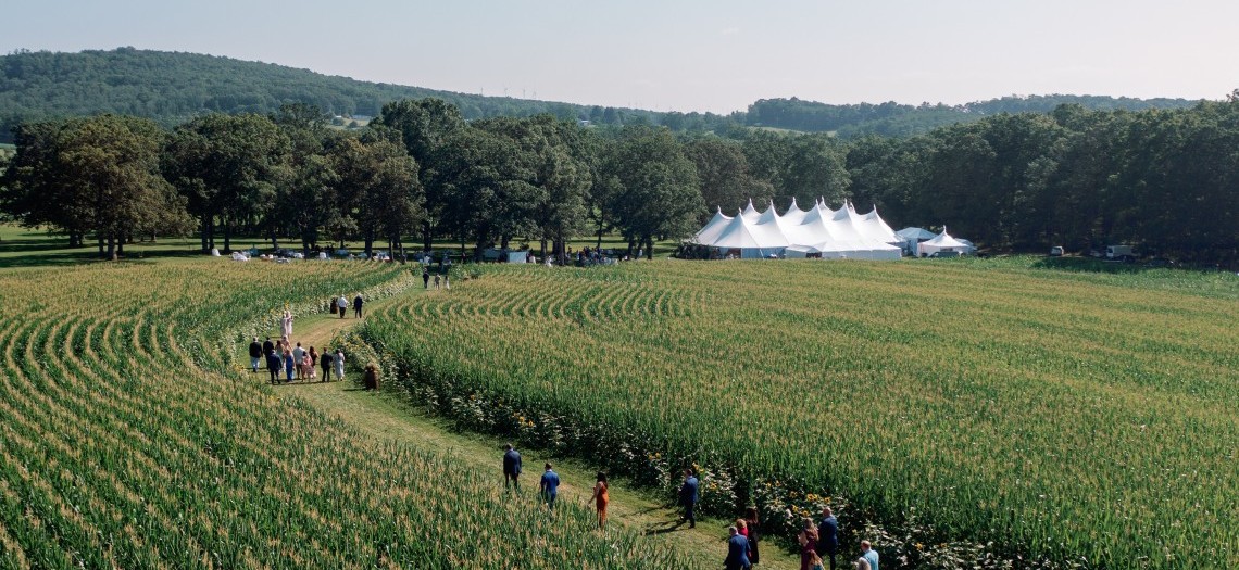 Wicker Wrapped Skies