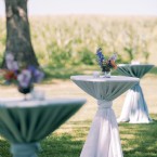 Wicker Wrapped Skies