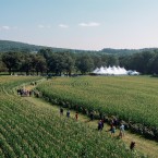 Wicker Wrapped Skies