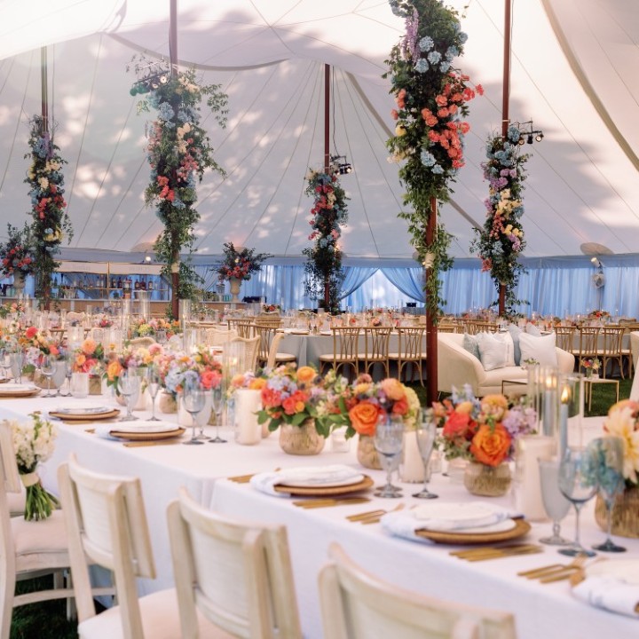 Wicker Wrapped Skies