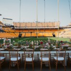 Touchdown Celebration on the Field