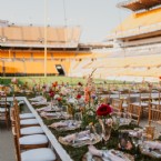 Touchdown Celebration on the Field